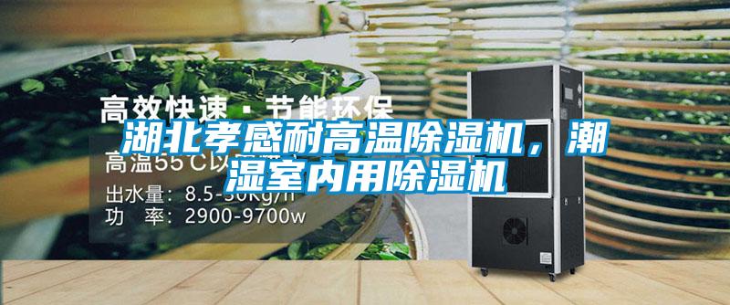 湖北孝感耐高溫除濕機，潮濕室內用除濕機