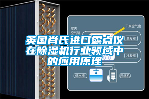 英國肖氏進(jìn)口露點(diǎn)儀在除濕機行業(yè)領(lǐng)域中的應用原理