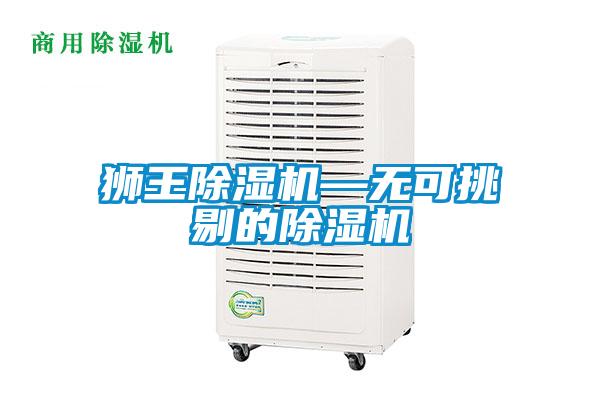 獅王除濕機—無(wú)可挑剔的除濕機