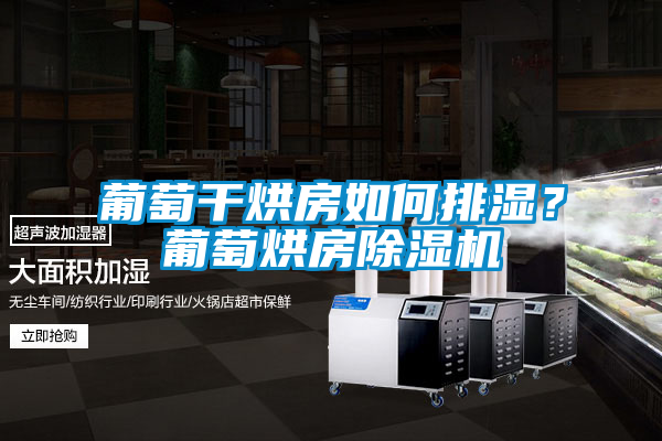 葡萄干烘房如何排濕？葡萄烘房除濕機
