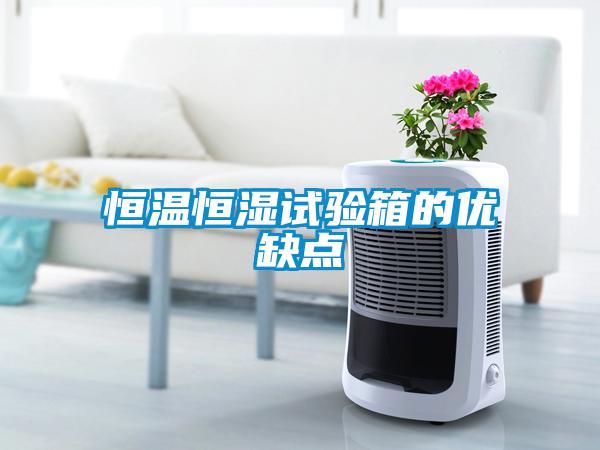 恒溫恒濕試驗箱的優(yōu)缺點(diǎn)