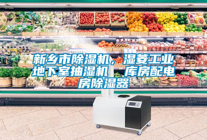 新鄉市除濕機，濕菱工業(yè)地下室抽濕機  庫房配電房除濕器