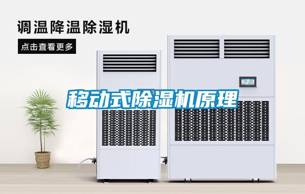 移動(dòng)式除濕機原理