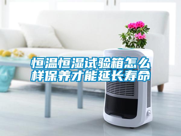 恒溫恒濕試驗箱怎么樣保養才能延長(cháng)壽命