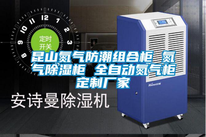 昆山氮氣防潮組合柜 氮氣除濕柜 全自動(dòng)氮氣柜定制廠(chǎng)家