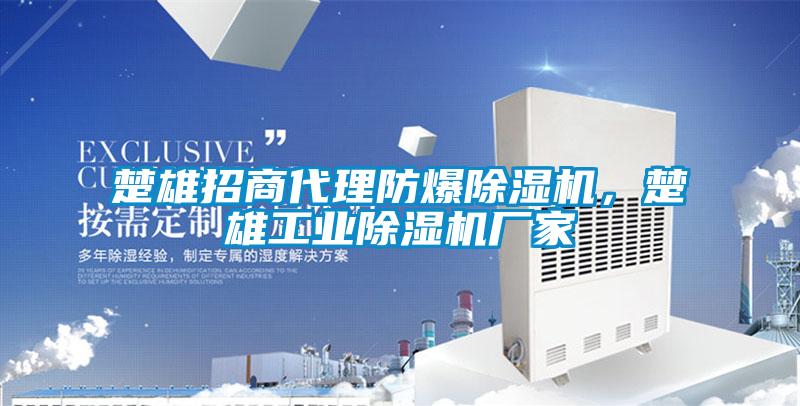 楚雄招商代理防爆除濕機，楚雄工業(yè)除濕機廠(chǎng)家