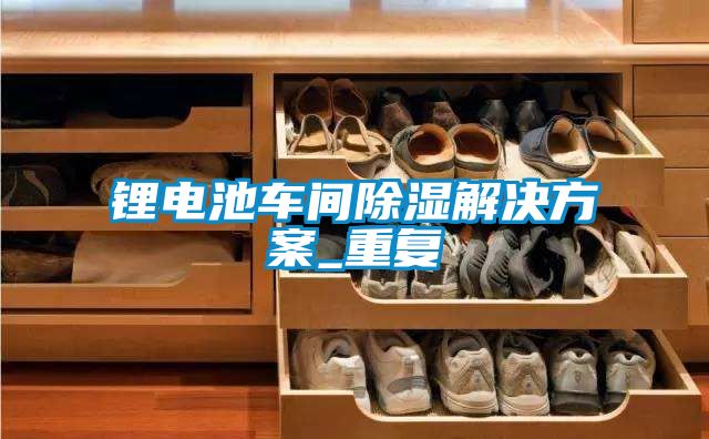 鋰電池車(chē)間除濕解決方案_重復