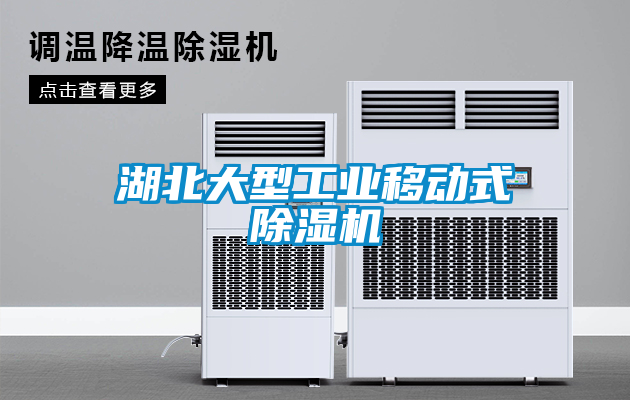湖北大型工業(yè)移動(dòng)式除濕機