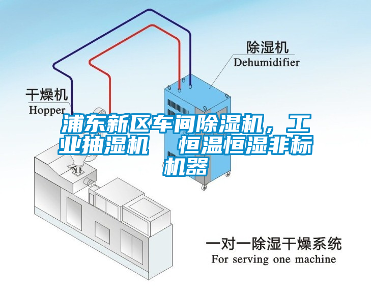 浦東新區車(chē)間除濕機，工業(yè)抽濕機  恒溫恒濕非標機器