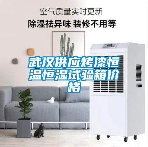 武漢供應烤漆恒溫恒濕試驗箱價(jià)格