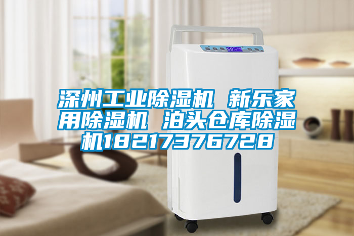 深州工業(yè)除濕機 新樂(lè )家用除濕機 泊頭倉庫除濕機18217376728