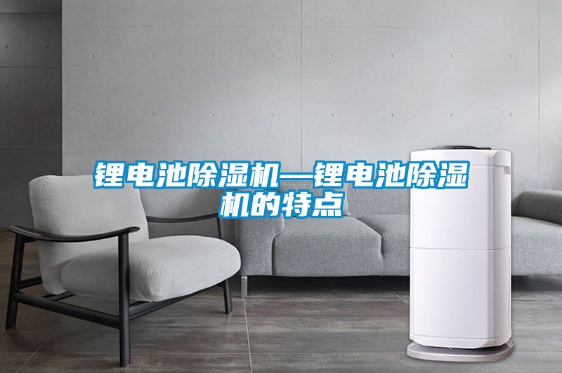 鋰電池除濕機—鋰電池除濕機的特點(diǎn)
