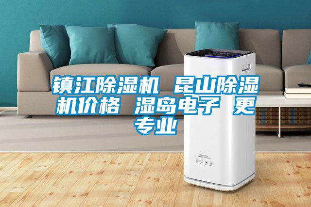 鎮江除濕機 昆山除濕機價(jià)格 濕島電子 更專(zhuān)業(yè)