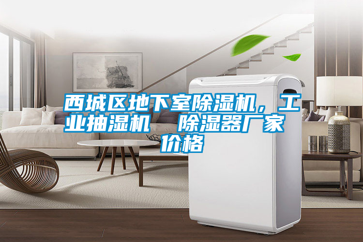 西城區地下室除濕機，工業(yè)抽濕機  除濕器廠(chǎng)家 價(jià)格