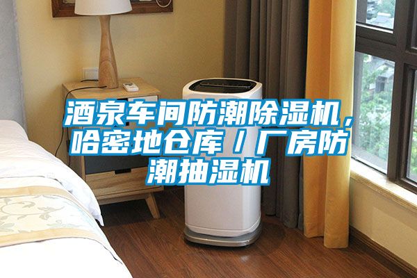 酒泉車(chē)間防潮除濕機，哈密地倉庫／廠(chǎng)房防潮抽濕機