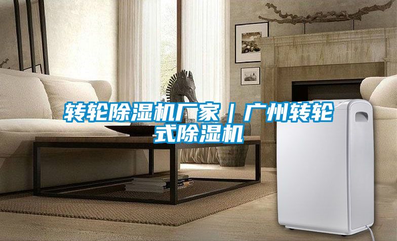轉輪除濕機廠(chǎng)家｜廣州轉輪式除濕機