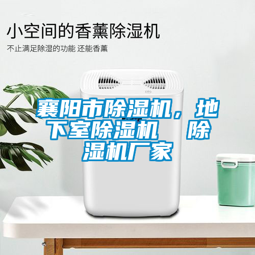 襄陽(yáng)市除濕機，地下室除濕機  除濕機廠(chǎng)家