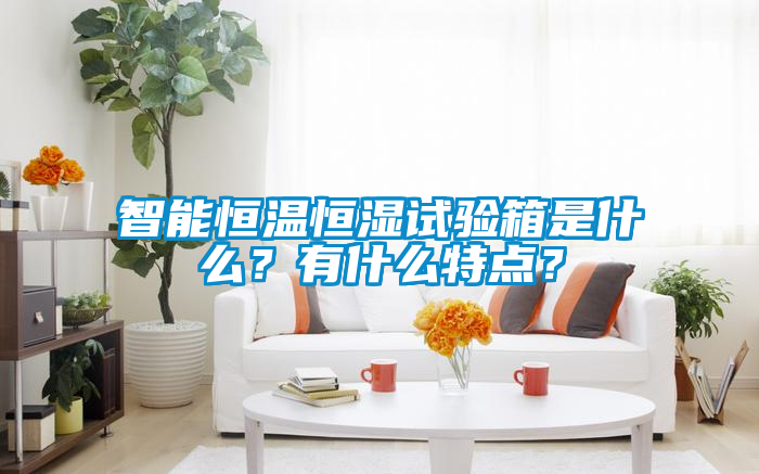智能恒溫恒濕試驗箱是什么？有什么特點(diǎn)？