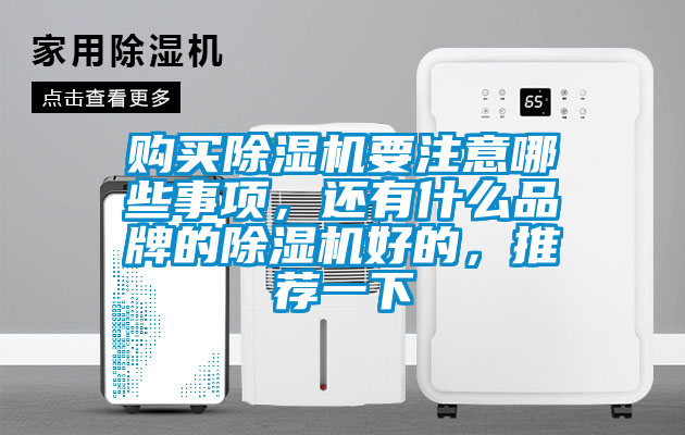 購買(mǎi)除濕機要注意哪些事項，還有什么品牌的除濕機好的，推薦一下