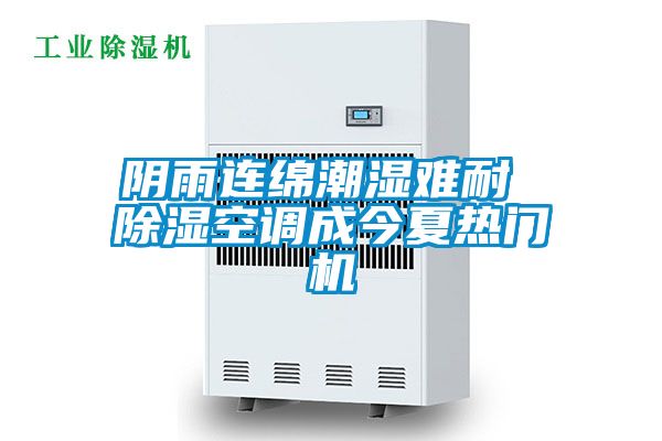 陰雨連綿潮濕難耐 除濕空調成今夏熱門(mén)機
