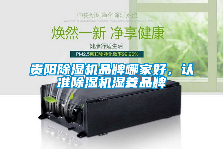貴陽(yáng)除濕機品牌哪家好，認準除濕機濕菱品牌