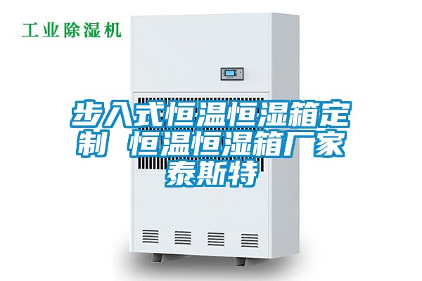 步入式恒溫恒濕箱定制 恒溫恒濕箱廠(chǎng)家泰斯特