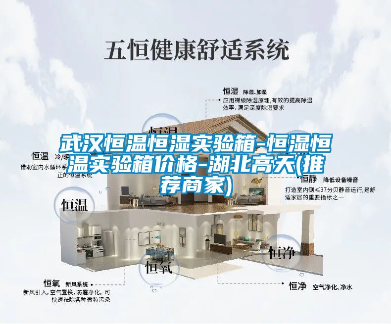 武漢恒溫恒濕實(shí)驗箱-恒濕恒溫實(shí)驗箱價(jià)格-湖北高天(推薦商家)
