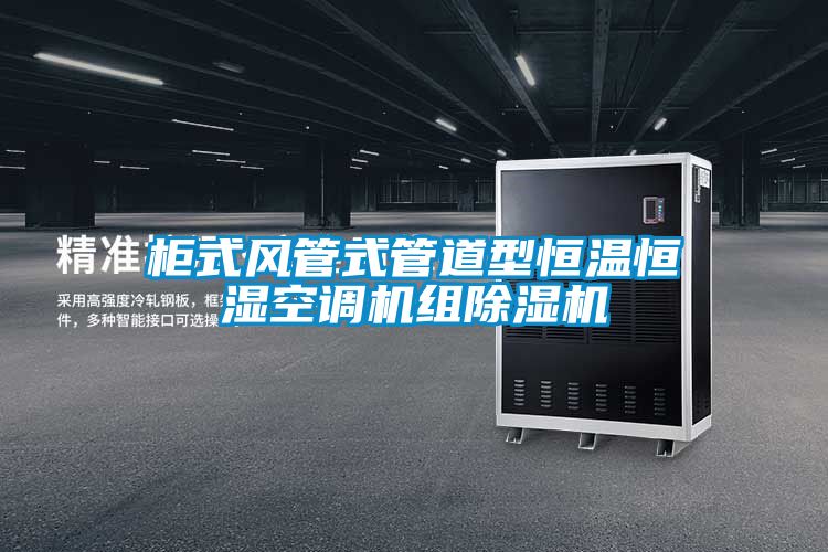 柜式風(fēng)管式管道型恒溫恒濕空調機組除濕機