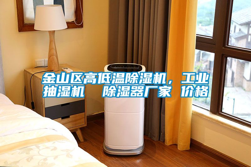 金山區高低溫除濕機，工業(yè)抽濕機  除濕器廠(chǎng)家 價(jià)格
