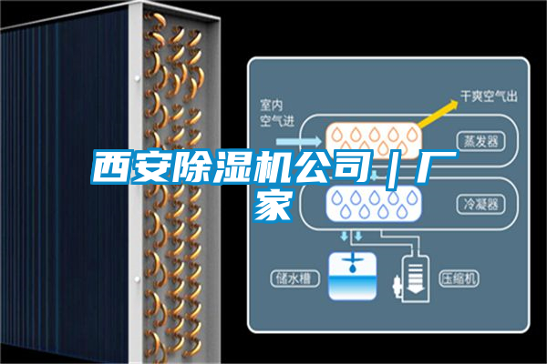 西安除濕機公司｜廠(chǎng)家
