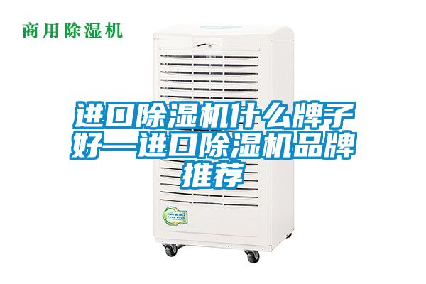 進(jìn)口除濕機什么牌子好—進(jìn)口除濕機品牌推薦