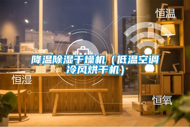降溫除濕干燥機（低溫空調冷風(fēng)烘干機）