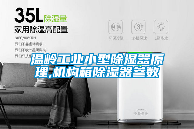 溫嶺工業(yè)小型除濕器原理,機構箱除濕器參數