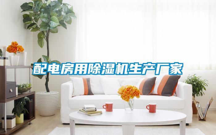 配電房用除濕機生產(chǎn)廠(chǎng)家