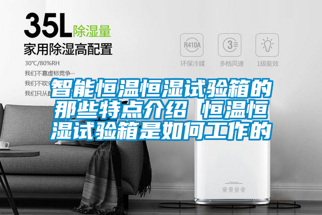 智能恒溫恒濕試驗箱的那些特點(diǎn)介紹 恒溫恒濕試驗箱是如何工作的