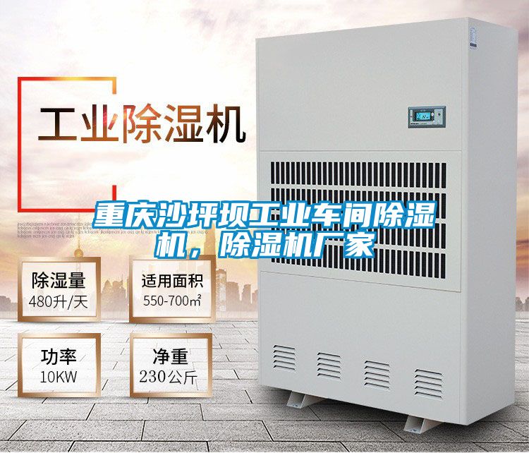 重慶沙坪壩工業(yè)車(chē)間除濕機，除濕機廠(chǎng)家