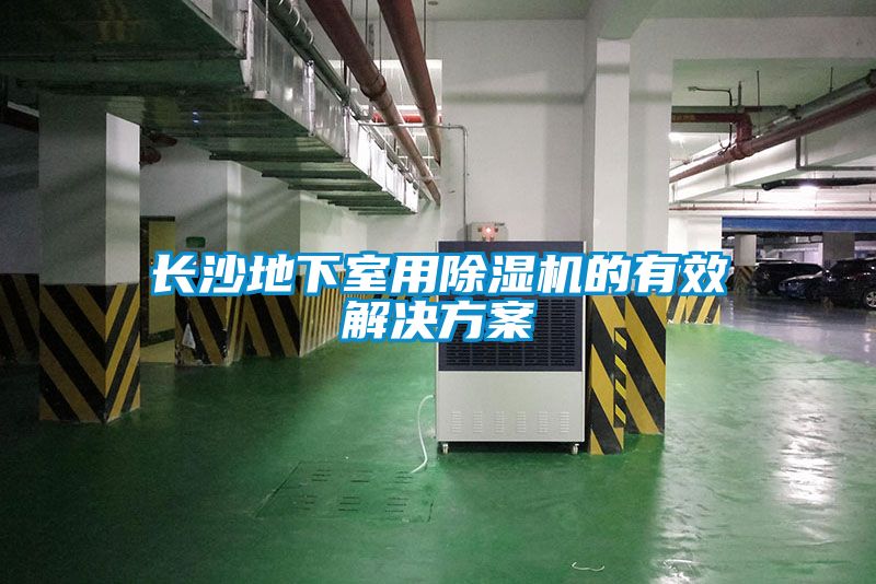 長(cháng)沙地下室用除濕機的有效解決方案