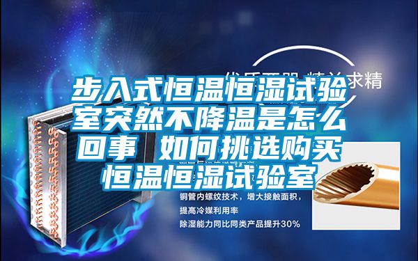 步入式恒溫恒濕試驗室突然不降溫是怎么回事 如何挑選購買(mǎi)恒溫恒濕試驗室