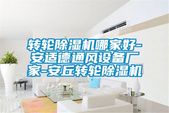 轉輪除濕機哪家好-安適德通風(fēng)設備廠(chǎng)家-安丘轉輪除濕機