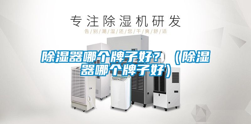 除濕器哪個(gè)牌子好？（除濕器哪個(gè)牌子好）