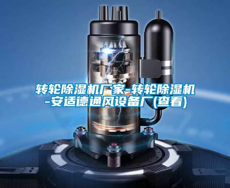轉輪除濕機廠(chǎng)家-轉輪除濕機-安適德通風(fēng)設備廠(chǎng)(查看)