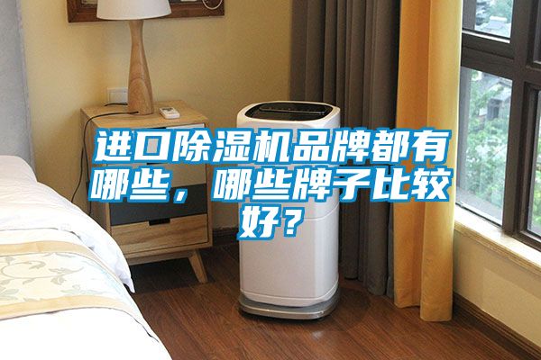 進(jìn)口除濕機品牌都有哪些，哪些牌子比較好？