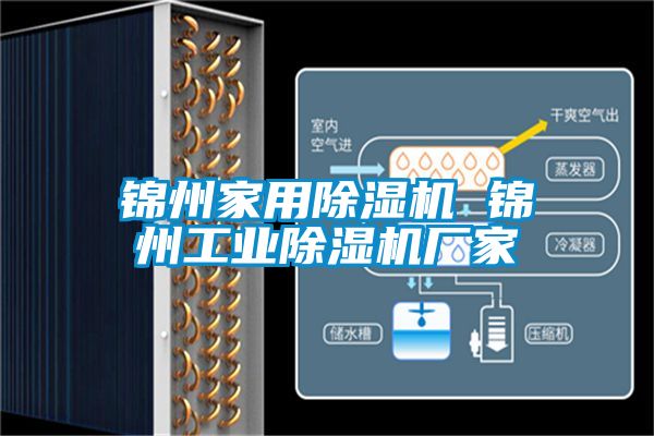 錦州家用除濕機 錦州工業(yè)除濕機廠(chǎng)家