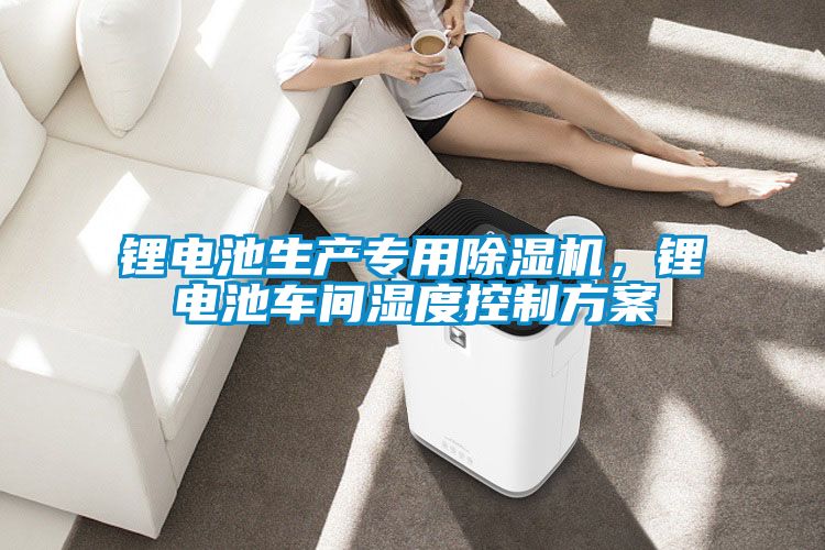 鋰電池生產(chǎn)專(zhuān)用除濕機，鋰電池車(chē)間濕度控制方案