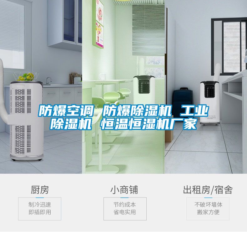 防爆空調 防爆除濕機 工業(yè)除濕機 恒溫恒濕機廠(chǎng)家