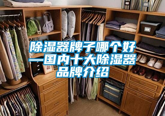 除濕器牌子哪個(gè)好—國內十大除濕器品牌介紹