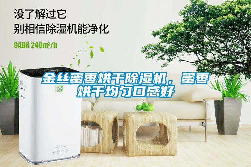 金絲蜜棗烘干除濕機，蜜棗烘干均勻口感好