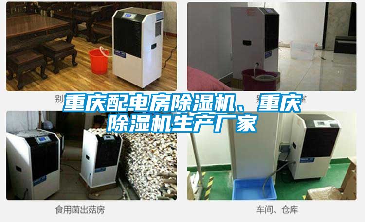 重慶配電房除濕機、重慶除濕機生產(chǎn)廠(chǎng)家