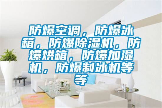 防爆空調，防爆冰箱，防爆除濕機，防爆烘箱，防爆加濕機，防爆制冰機等等