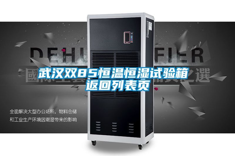 武漢雙85恒溫恒濕試驗箱 返回列表頁(yè)